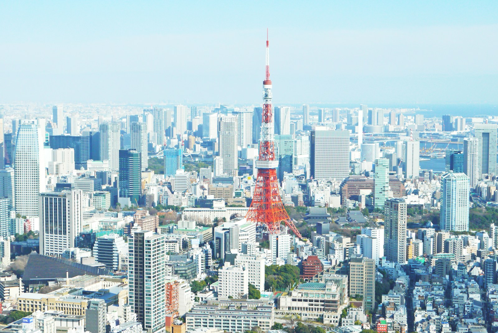 東京の街並み（東京タワーと都心のビル群）